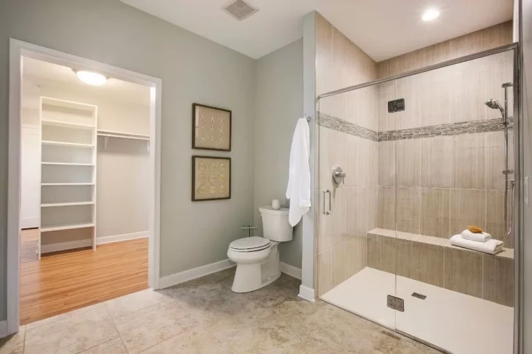 Modern bathroom with walk-in shower, toilet, vanity, and open door to walk-in closet with shelving